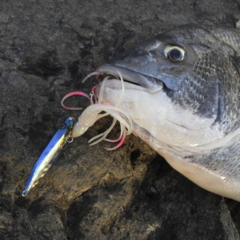 OBSESSION J25 インチクイカワカサギメタルスロー - Fishing Lure Buzzbait のレビューと価格